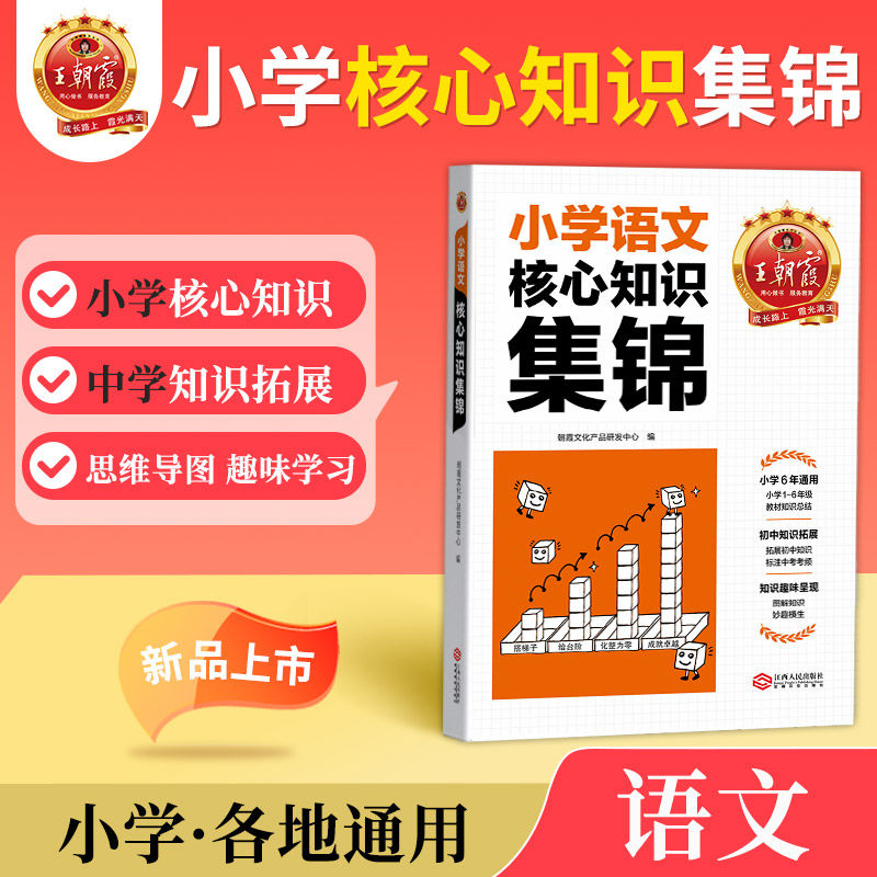 小升初大集结考点初中衔接王朝霞核心知识集锦语文基础知识大盘点一二三四五六年级小学知识大全手册人教版考试总复习