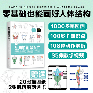 正版 艺用解剖学入门 李瑞恩(韩)著 王子衿主译 零基础也能画好人体结构 专为绘画零基础学习者打造的人体绘画解剖学指南