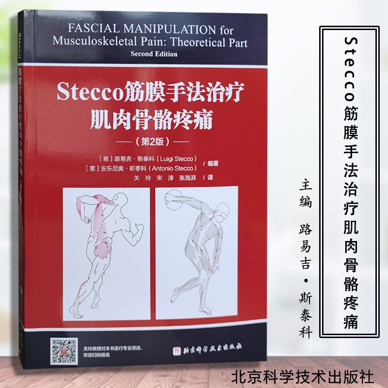 Stecco筋膜手法治疗肌肉骨骼疼痛 第2版 筋膜领域意大利学派领军人物Luigi Stecco 解剖列车译者关玲教授倾心翻译