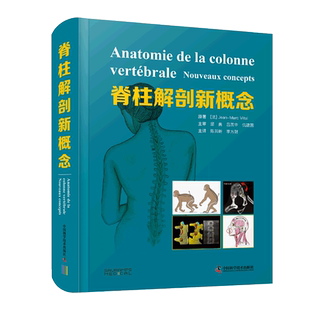 脊椎解剖新概念 脊柱外科学 陈其昕 李方财邱勇 功能解剖学脊柱肌肉骨骼系统强直性脊柱炎脊柱关节畸形外科学书籍侧弯相关疾病治疗