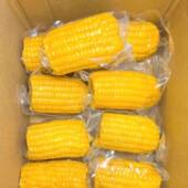 价格低至2.75 0添加开袋即食玉米kfc同款 水果甜玉米真空包装 袋