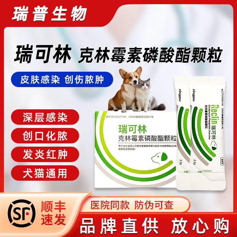 瑞可林皮肤感染创伤脓肿深层感染