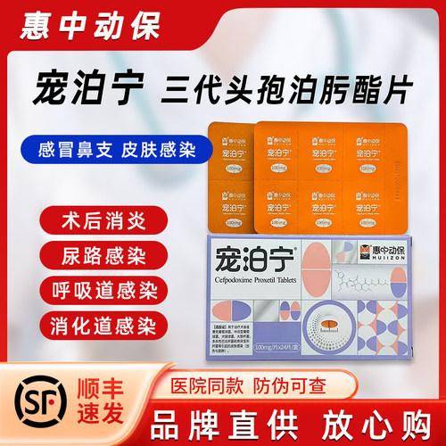惠中宠泊宁头孢鼻支感冒咳嗽消炎