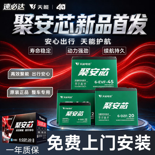 天能聚安芯电动车电池48V60V72V
