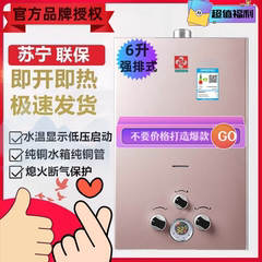 燃气热水器家用煤气液化气天然气强排6/8升10升12/16升铜速热恒温