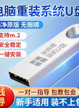 系统u盘win10正版电脑重装win11win7纯净专业版原版一键自动安装