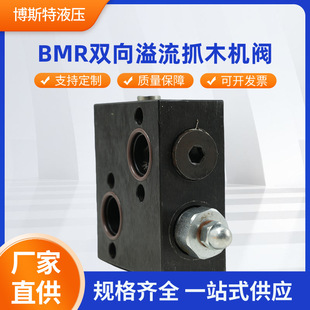 BMR双向溢流抓木机阀配套回转液压马达安全耐高压溢流阀安全阀
