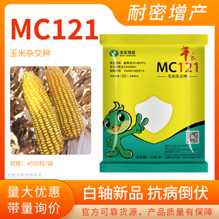 丰乐农化国审MC121玉米杂交种子高产原装大田玉米种子