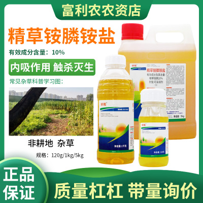 滨农科技10%精草铵膦铵盐非耕地荒地牛筋草杂草除草剂正品
