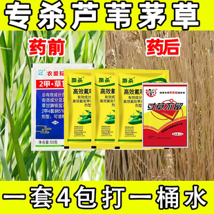 芦苇除草剂烂根芦苇专用除草剂芦苇除草剂芦苇除根药芦苇除草专用