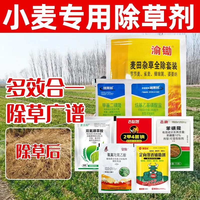 (加强版)小麦苗后除草剂