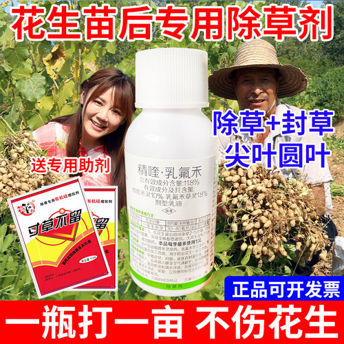 （安全型）花生苗后专用除草剂