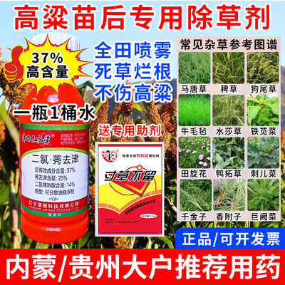 高粱除草剂不伤高粱高粱地专用除草剂除草封草二氯喹啉酸莠去津药