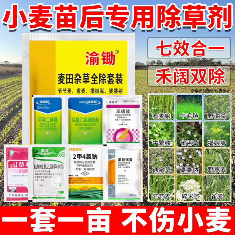 (强效型)小麦苗后专用除草剂