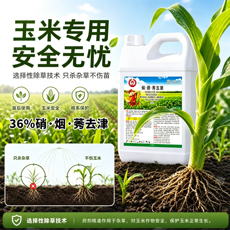 玉米苗后专用除草剂除草不伤苗春夏玉米地杂草牛筋草冰草芦苇草药