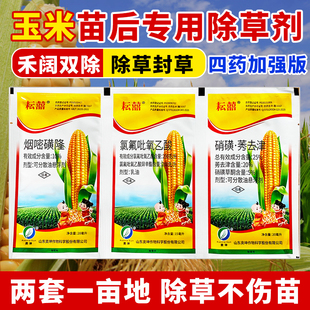 玉米除草剂苗后除草烂根剂烟嘧磺隆硝磺草酮氯氟吡氧乙酸莠去津药