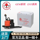 火炬能源电动车胶体电池 GFM EVF 小金刚托盘搬运车蓄电池6