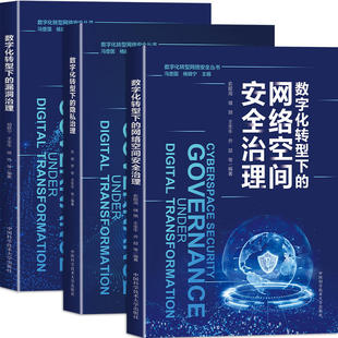 【3册可选】数字化转型网络安全丛书 数字化转型下的网络空间安全+漏洞+隐私治理 中国科学技术大学出版社 网络安全专业知识和技能
