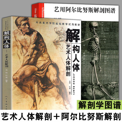 艺用阿尔比努斯解剖图谱＋解构人体 艺术人体解剖 骨骼与肌肉图谱 美术绘画书 结构图素描基础教程专业知识素描速写绘画人体结构书