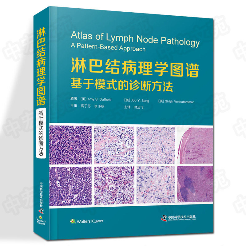 淋巴结病理学图谱 基于模式的诊断方法 (美)艾米·S.达菲尔德,(美)乔·Y.颂,(美)吉里什·文卡塔拉曼 著 时云飞 译 内科学生活
