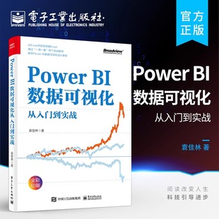 正版现货 Power BI数据可视化从入门到实战 数据分析及仪表板设计整体流程进阶书籍 Power BI核心计算原理 袁佳林 电子工业出版社