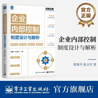 新书 企业内部控制制度设计与解析 梁睿升 企业管理风险点识别与管控规范制流程设计与运营推动企业发展战略的实施规划方案书