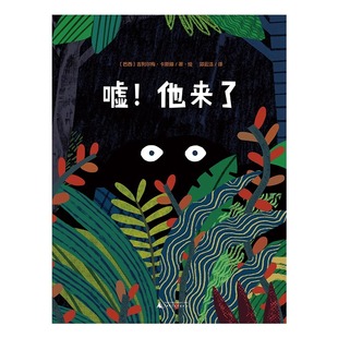 【正版现货】魔法象 嘘!他来了 吉列尔梅·卡斯滕/著\绘 3-6岁 幽默 捉迷藏 躲猫猫 绘本 广西师范大学出版社
