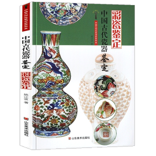 正版包邮 彩瓷鉴定 中国古代瓷器鉴定 中国文物收藏与鉴赏书系 姚江波著 艺术鉴赏收藏彩瓷文物考古价值判断保养明清彩釉红青花釉