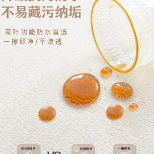 荷花客厅地毯书房茶室可擦免洗2023新款 新中式 免打理卧室家用地u.