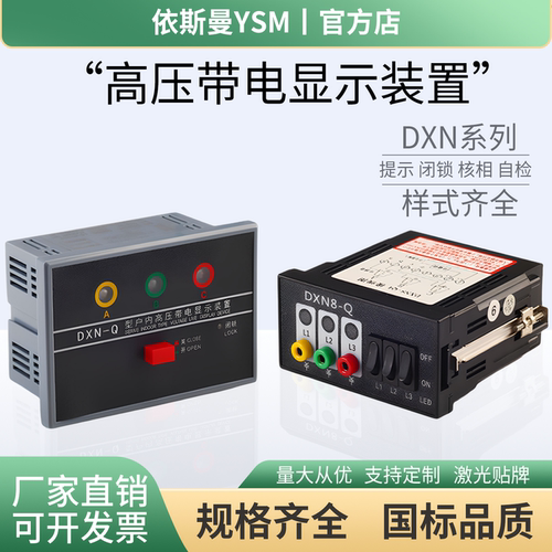 户内高压10KV带电显示器CG5-10Q闭锁装置DXN-T核相DXN8D-Q自检L-6