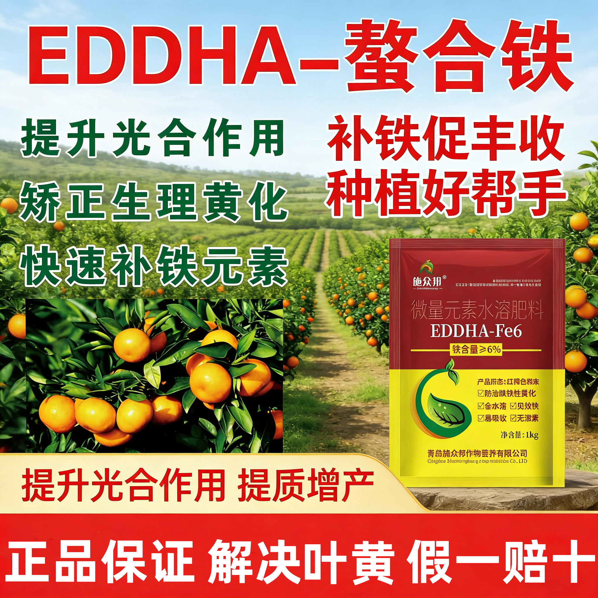 螯合铁EDDHA-F6水溶肥料快速补铁柑橘花卉绿植果树黄化通用型批发