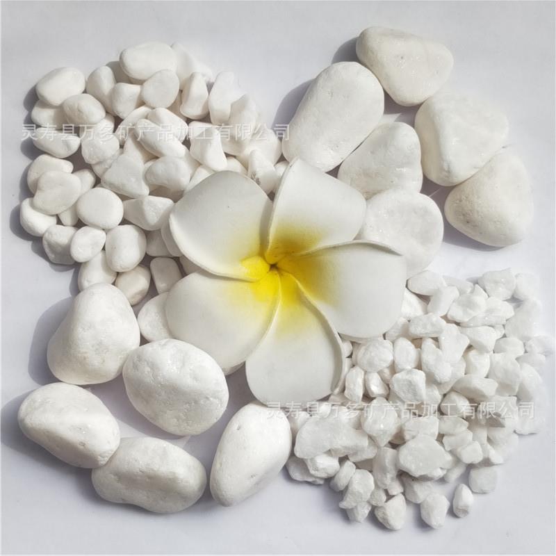 厂家供应园艺白色小石头机制白色鹅卵石花盆园林铺路白色石子卵石