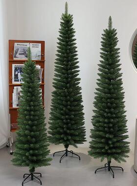 christmas tree加密大型圣诞树尖头仿真细长铅笔树绿色圣诞树