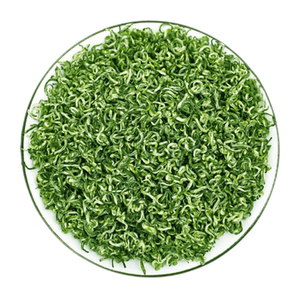 2026新茶碧螺春高山云雾绿茶500g
