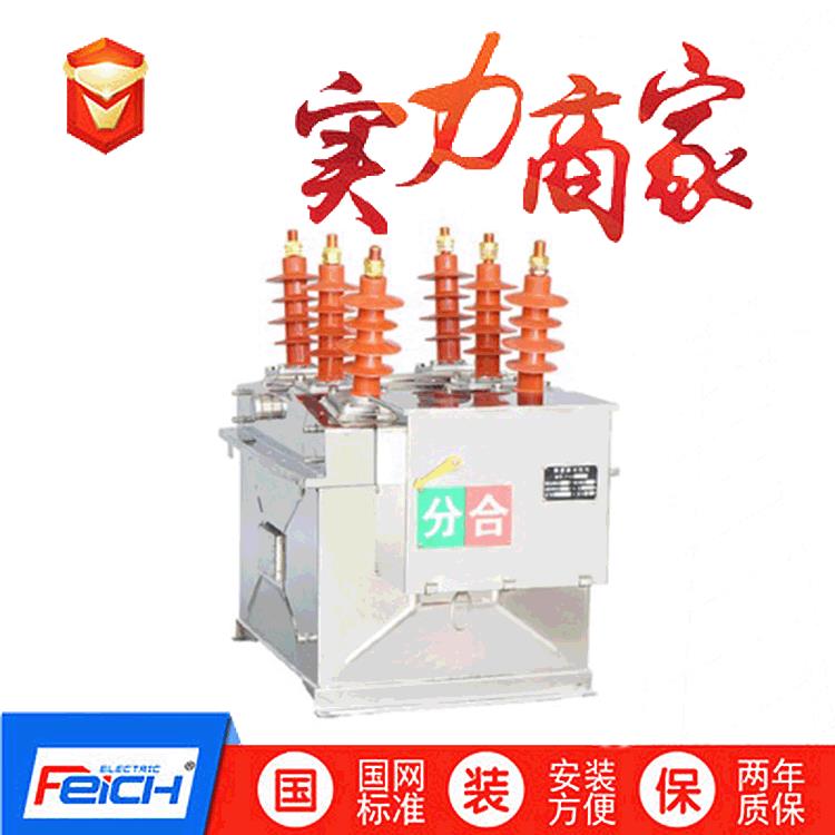 ZW8-12/630A户外高压真空断路器10KV柱上真空断路器ZW8-12G/630A