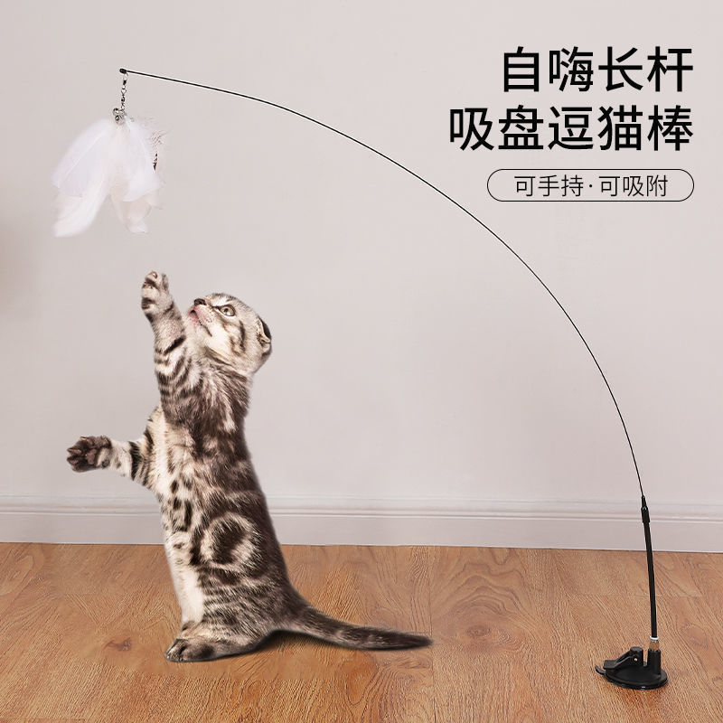 现货强力吸盘逗猫棒羽毛耐咬配替换头猫咪玩具自嗨杆解闷神器图片