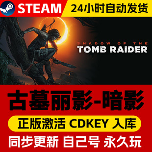 Steam正版 古墓丽影暗影 激活码CDKEY中文全dlc在线畅玩全球区国