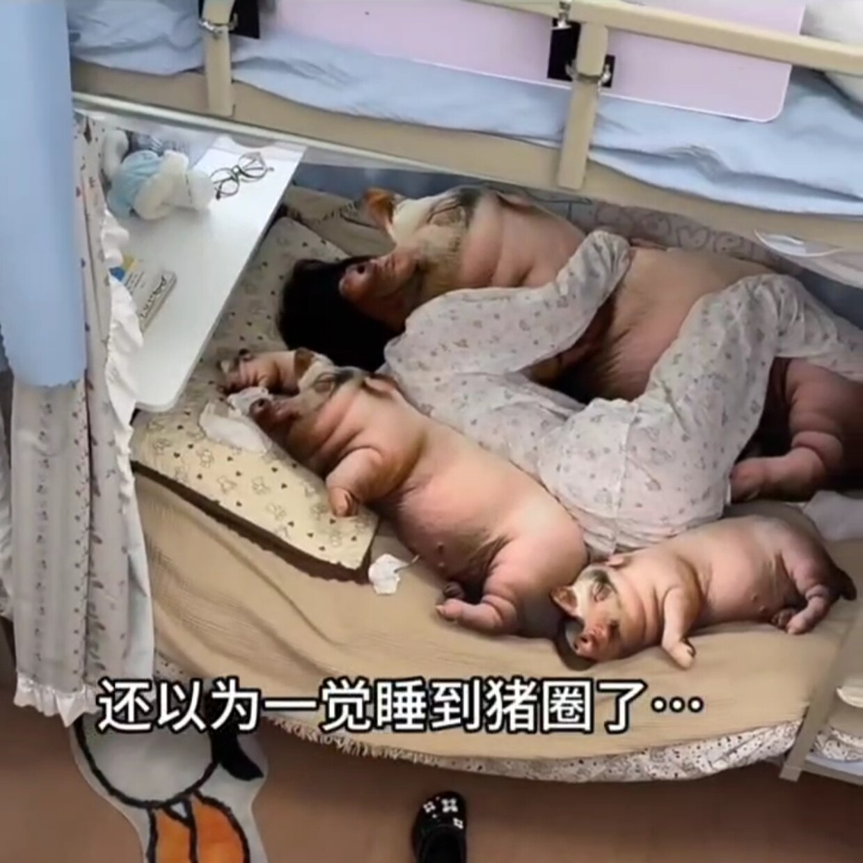仿真小猪玩偶睡觉抱枕抽象搞怪生日礼物女生送男生男朋友闺蜜七夕图片