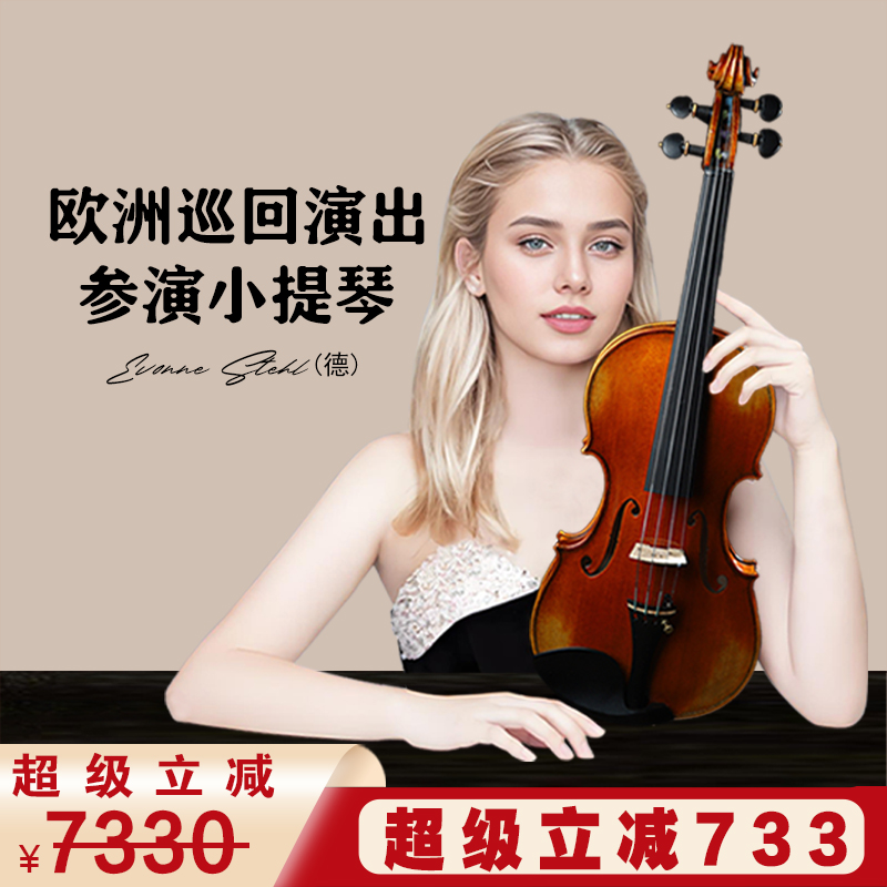 专业演奏小提琴SEENWINS