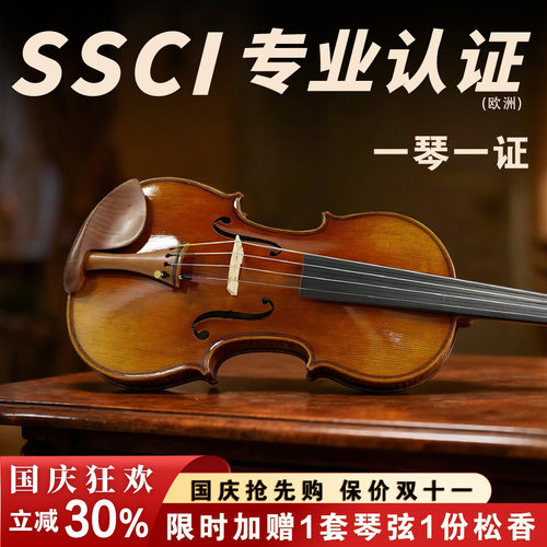 专业级小提琴SEENWINS