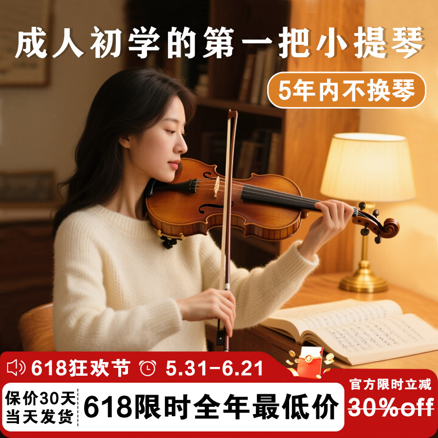SEENWINS圣维斯sw225纯手工成人初学欧料小提琴官方旗舰店