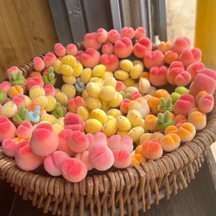 多肉熊爪植物熊童子锦熊掌室内桌面盆栽新品客厅防辐射好养萌肉