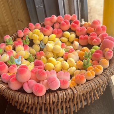 多肉熊爪植物熊童子锦熊掌室内桌面盆栽新品客厅防辐射好养萌肉