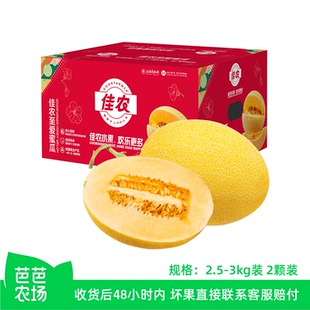 【芭芭农场兑换专享】佳农新疆至爱蜜瓜新鲜哈蜜瓜脆甜多汁5-6斤