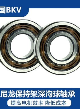 BKV德国进口轴承6008电机6009尼龙保持架6010轴承型号大全6011-TN