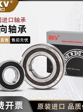 德国BKV进口单向轴承CSK8 10 12 15 17 20 25 30 35 40 50 60 PP