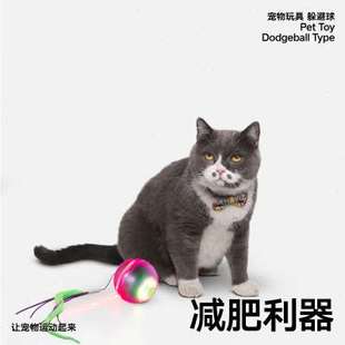 智能向a玩具球宠物用品球pi自动躲避n激光电动转猫玩具球d 逗猫