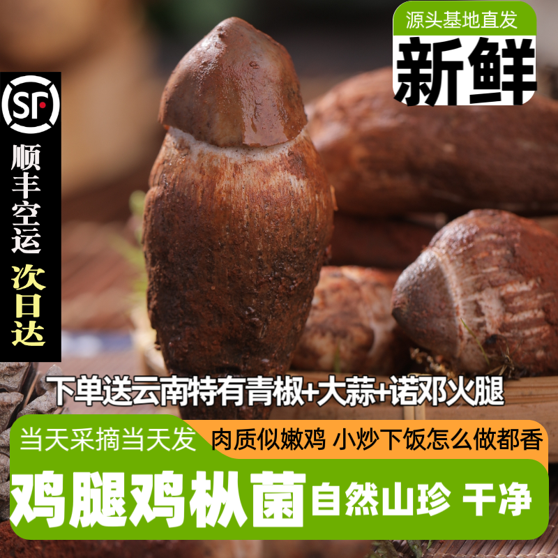 云南鸡枞菌新鲜野生鸡枞荔枝菌三塔菌白蚁菇斗鸡菇火把鸡枞鸡腿菌
