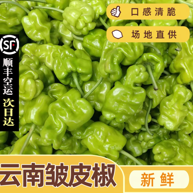 皱皮椒云南新鲜现摘产地直发