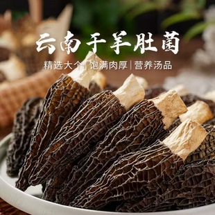 云南羊肚菌【精选肉厚】2026年头茬剪柄精品六妹无硫干货 顺丰